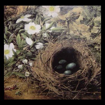 bird nest painting-marble