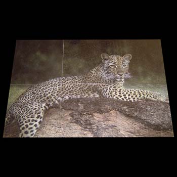 leopard-mural-granite